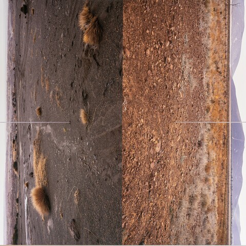 Gemälde von Felix Kiessling