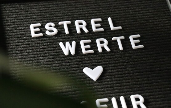 Schild mit Estrel-Werten