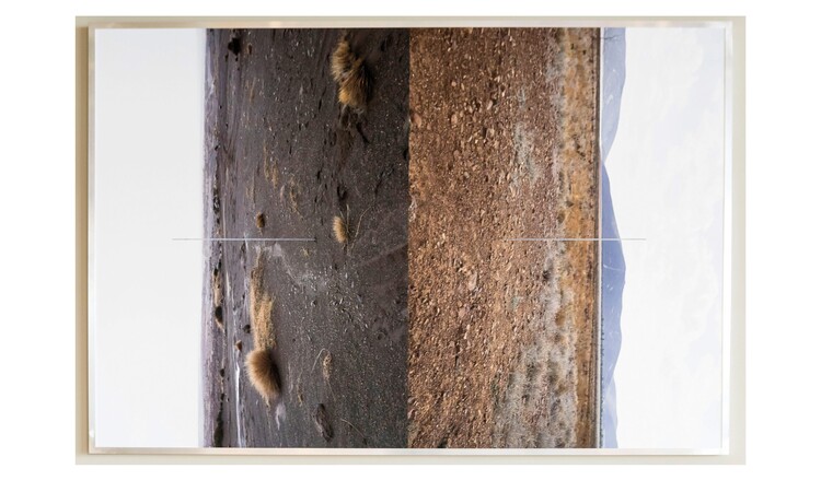 Gemälde von Felix Kiessling